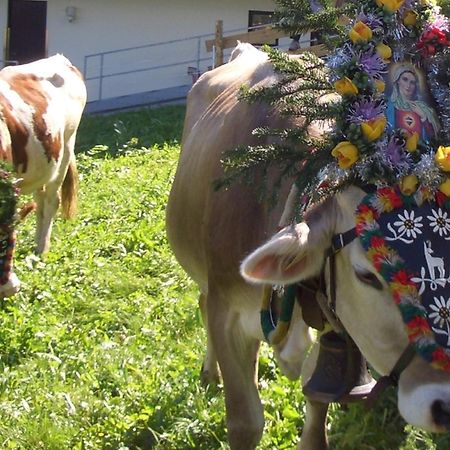 Hotel Gasthof Jaeger Zillertal Schlitters Eksteriør bilde